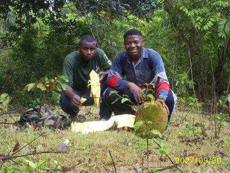 ELEC  ET   AFRIC   